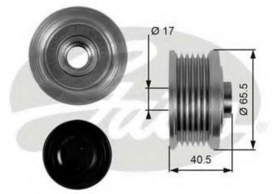 VKM 03206