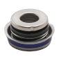 Mechanical Seals