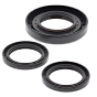 Oil Seal