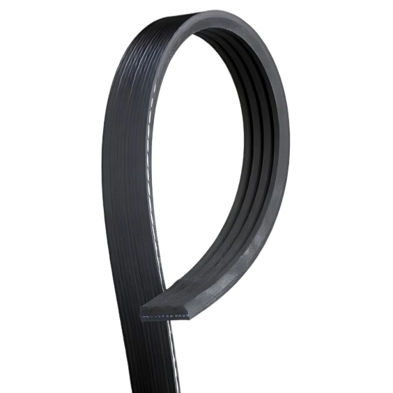 Poly V belt