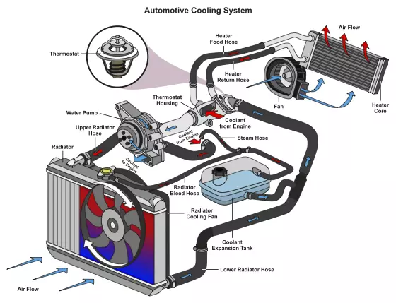car engine bay showing the location of the thermostat in the cooling system
