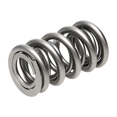 Valve Spring