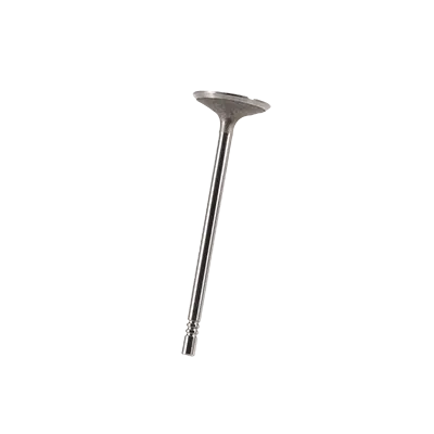 Intake Valve