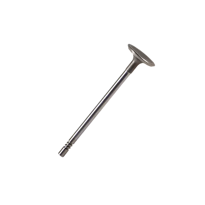 Exhaust Valve