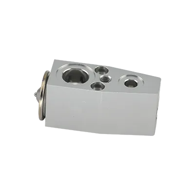 Expansion Valve